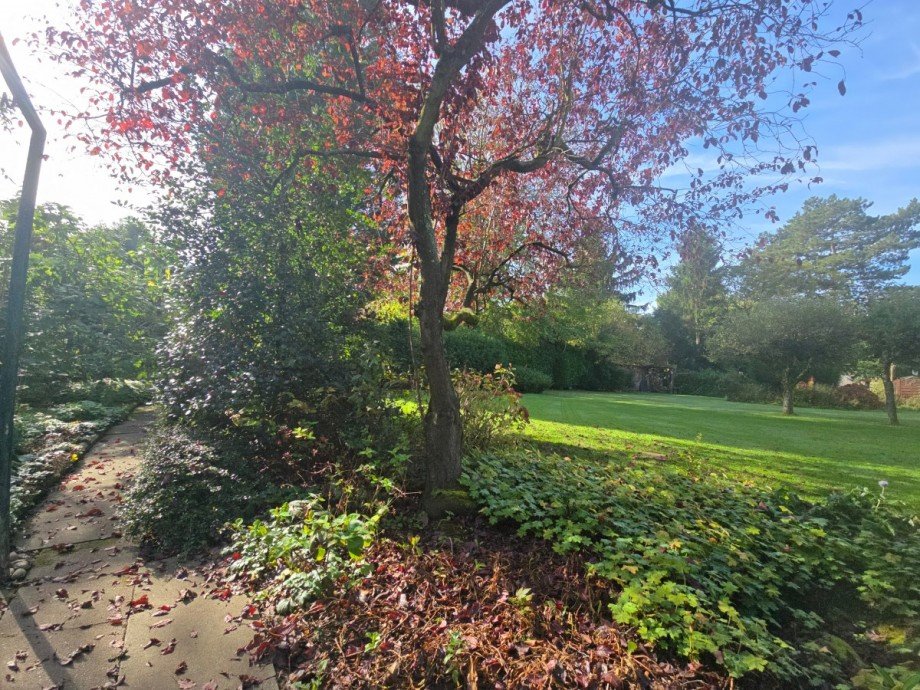 Garten Doppelhaush�lfte Neuss