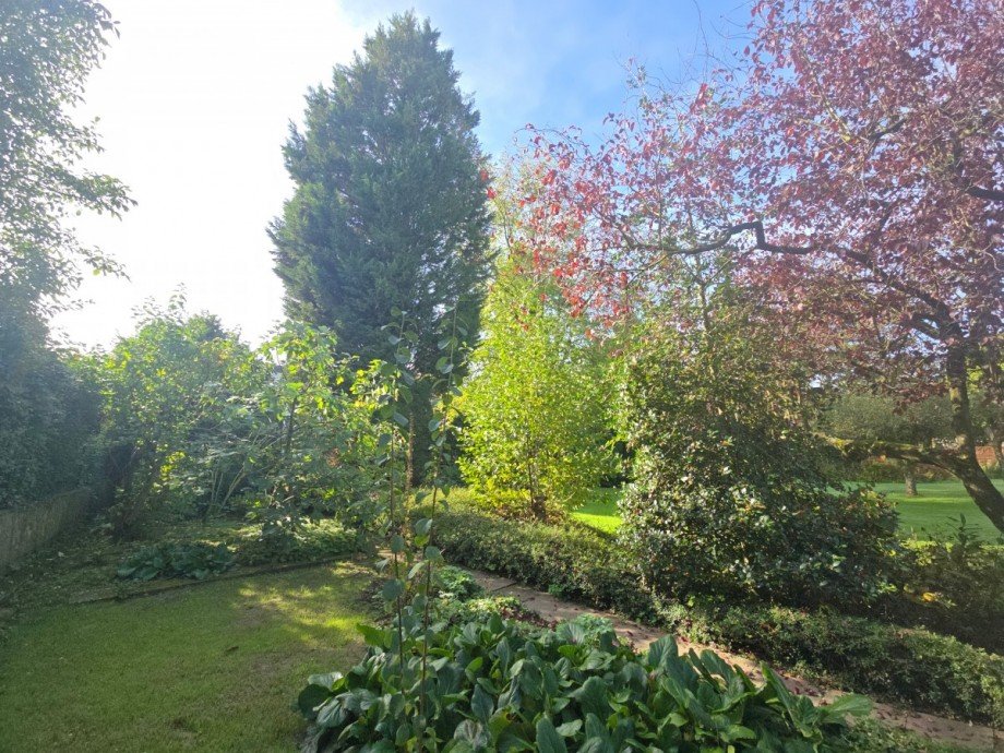 Garten Doppelhaush�lfte Neuss