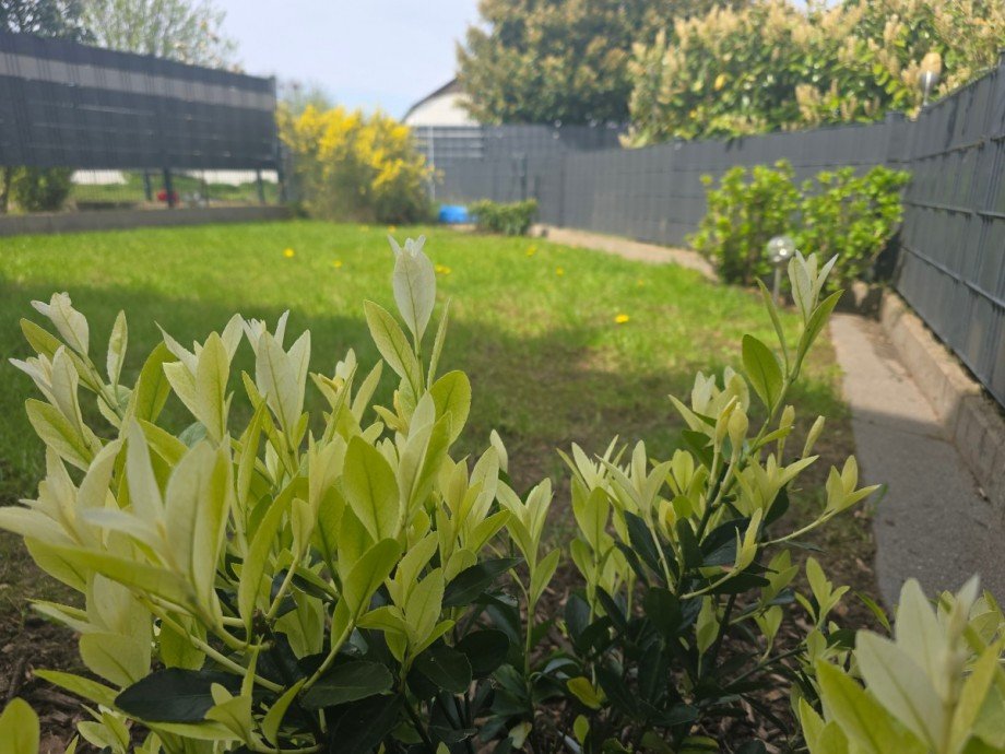 Kleiner Garten in Ost Ausrichtung Erdgeschosswohnung Geilenkirchen