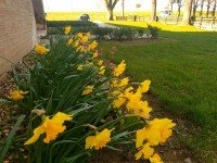 Hauptbild Garten, Garage komplett unterkellert m�glicher Kamin