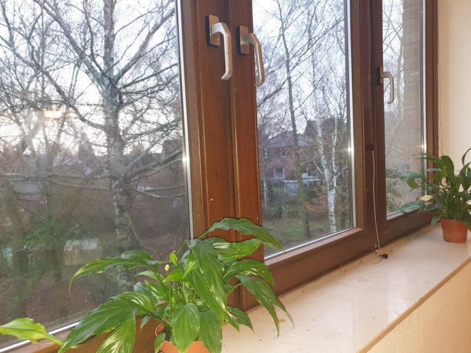 Ausblick DG-Zimmer Einfamilienhaus J�chen
